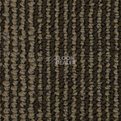 Escom Coral 5414 фото 2 | FLOORDEALER
