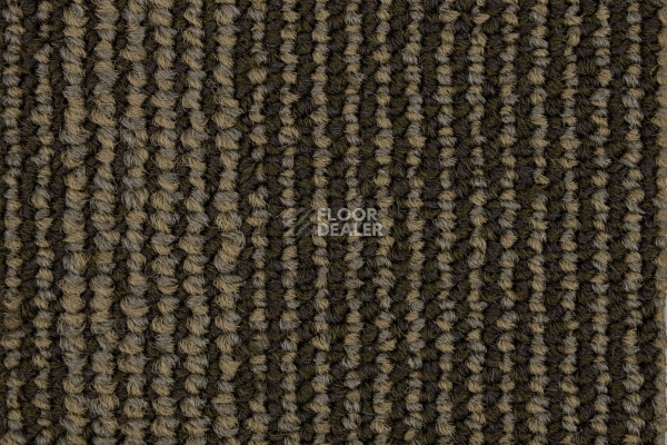 Escom Coral 5414 фото 2 | FLOORDEALER
