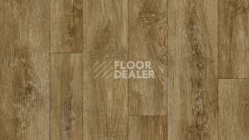 Линолеум Tarkett Philosophy DIAKIRI 6 фото 1 | FLOORDEALER