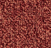 Ковролин Balsan Centaure Deco 578 фото 1 | FLOORDEALER