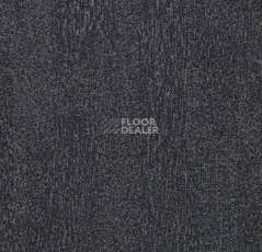 Ковровая плитка Flotex Colour Penang 50*50 t  382031 Penang Ash фото 1 | FLOORDEALER