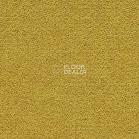 Ковролин Forbo Flotex wonderlab 07 900265 Sunshine фото 1 | FLOORDEALER