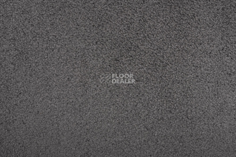 AW Daydream AW Daydream  98 фото 2 | FLOORDEALER