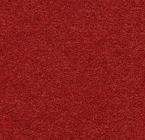 Ковролин Forbo Forte 96036 Rouge фото 1 | FLOORDEALER