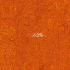 Линолеум Marmorette PUR 125-117 фото 1 | FLOORDEALER