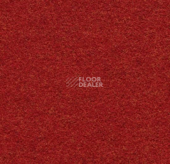 Ковролин Forbo Forte 96036 Rouge фото 1 | FLOORDEALER