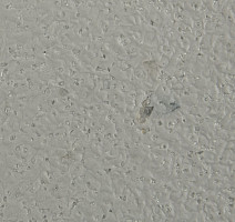 Forbo SureStep Laguna 178032 smoke фото 2 | FLOORDEALER