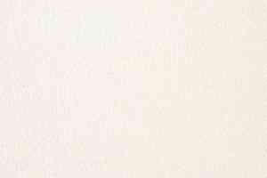 Ковролин AW Satisfaction 04 фото  | FLOORDEALER