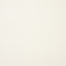 Ковролин AW Satisfaction 04 фото 1 | FLOORDEALER