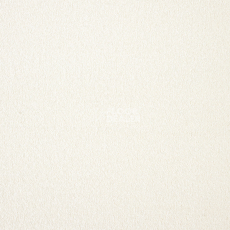 Ковролин AW Satisfaction 04 фото 1 | FLOORDEALER