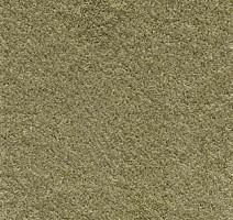 Ковролин AW Satin 20 фото 1 | FLOORDEALER