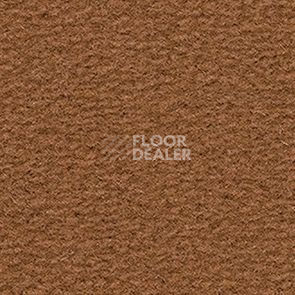 Ковролин Balsan Altitude Altitude 765 фото 1 | FLOORDEALER