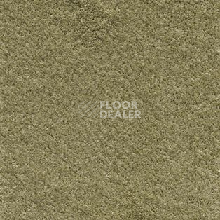 Ковролин AW Satin 20 фото 1 | FLOORDEALER