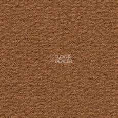 Ковролин Balsan Altitude Altitude 765 фото 1 | FLOORDEALER