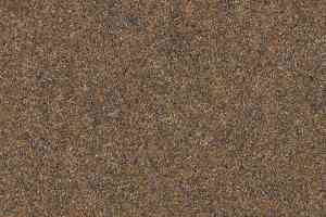 Ковролин Forbo Forte 96005 Desert фото  | FLOORDEALER