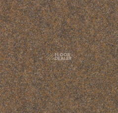 Ковролин Forbo Forte 96005 Desert фото 1 | FLOORDEALER