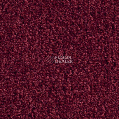 Ковролин Balsan Bolero 590 фото 1 | FLOORDEALER
