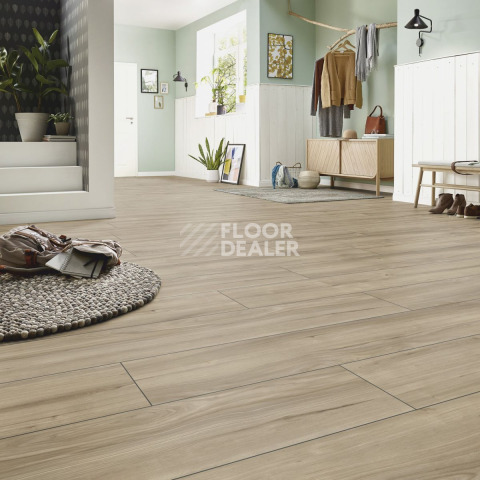 Kronotex Exquisit Plus d6016 Хикори Занзибар Природный фото 2 | FLOORDEALER