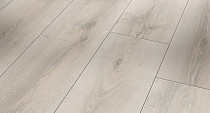 Ламинат Parador Trendtime 6 1567470 Дуб Аскада Белый фото 1 | FLOORDEALER