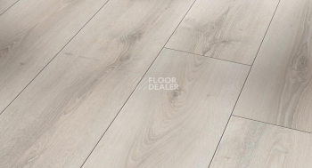 Ламинат Parador Trendtime 6 1567470 Дуб Аскада Белый фото 1 | FLOORDEALER