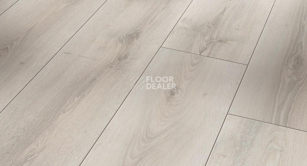 Ламинат Parador Trendtime 6 1567470 Дуб Аскада Белый фото 1 | FLOORDEALER