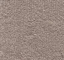 Ковролин AW Invictus Sirius 39 фото 1 | FLOORDEALER