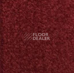 Ковролин Emphatic Beaulieu of America 56846 фото 1 | FLOORDEALER