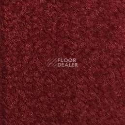 Ковролин Emphatic Beaulieu of America 56846 фото 1 | FLOORDEALER