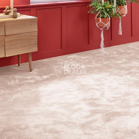 Vorwerk Superior 1067 Mira Vorwerk 1n48 фото 2 | FLOORDEALER