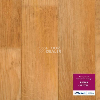 Линолеум Tarkett Prisma CARSTON 1 фото 1 | FLOORDEALER