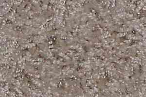 Ковролин Bell Rock Beaulieu of America 2690 фото  | FLOORDEALER