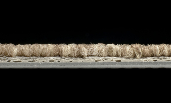 Tecsom Camera 00068 фото 3 | FLOORDEALER