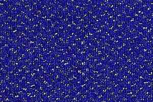 Ковролин Balta ITC Fortesse Fortesse 38 фото  | FLOORDEALER