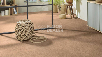 Vorwerk Superior 1065/Viola Vorwerk 7g74 фото 2 | FLOORDEALER