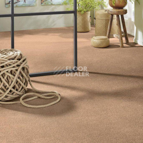 Vorwerk Superior 1065/Viola Vorwerk 7g74 фото 2 | FLOORDEALER