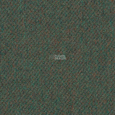 Shaw Momentum 02323 фото 1 | FLOORDEALER