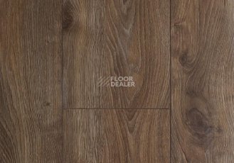 Ламинат My Floor Residence 10мм ml1018 Дуб Макро Бежевый фото 1 | FLOORDEALER