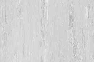 Линолеум Polyflor Xl Pu 3700 фото  | FLOORDEALER