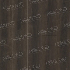 Кварцвиниловые полы Norland Neowood 8мм Tanaelva 2001-2 фото 1 | FLOORDEALER
