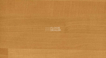 Линолеум Recreation 45 Wood 6058_American_Oak фото 1 | FLOORDEALER