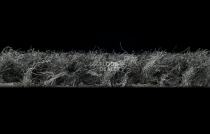 Forbo Coral Classic 4721 mouse grey фото 4 | FLOORDEALER