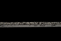 Standard Carpets Spectrum sm 577 фото 4 | FLOORDEALER