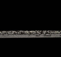 Standard Carpets Spectrum sm 577 фото 4 | FLOORDEALER