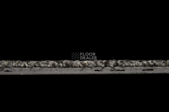 Standard Carpets Spectrum sm 577 фото 4 | FLOORDEALER