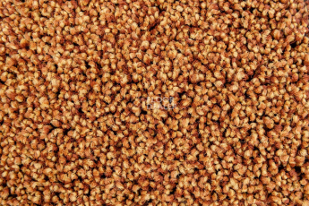 Escom Prestige 348 фото 2 | FLOORDEALER