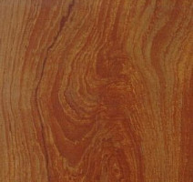 Линолеум Polyflor Kudos 1906 фото 1 | FLOORDEALER