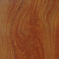 Линолеум Polyflor Kudos 1906 фото 1 | FLOORDEALER