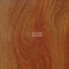 Линолеум Polyflor Kudos 1906 фото 1 | FLOORDEALER