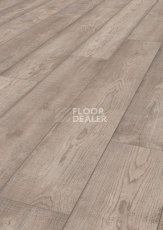 Ламинат Terhurne Dureco Classic Line 2808 / a09 Дуб Янтарный-серый фото 1 | FLOORDEALER