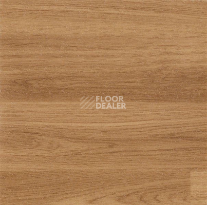 Линолеум Polysafe Wood FX Acoustic Pur 3342 фото 1 | FLOORDEALER
